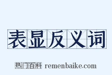 表显反义词是什么意思的图片